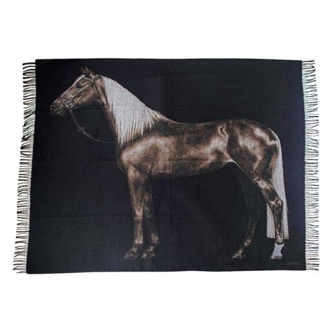 hermes cashmere blanket horse pattern|hermes throw blanket price.